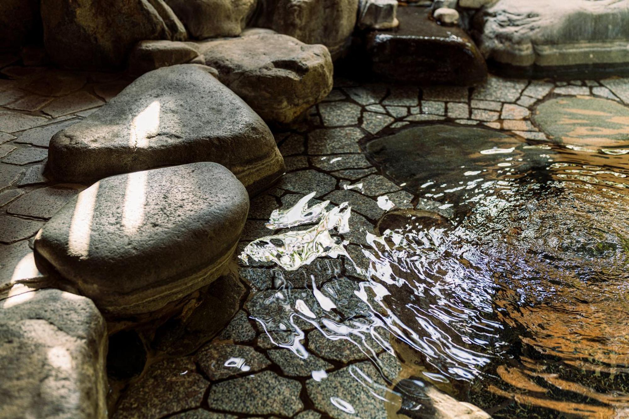 Ryokan Shinzan Kinosaki